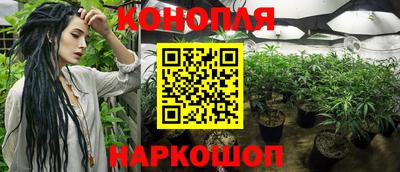 spice Апрелевка