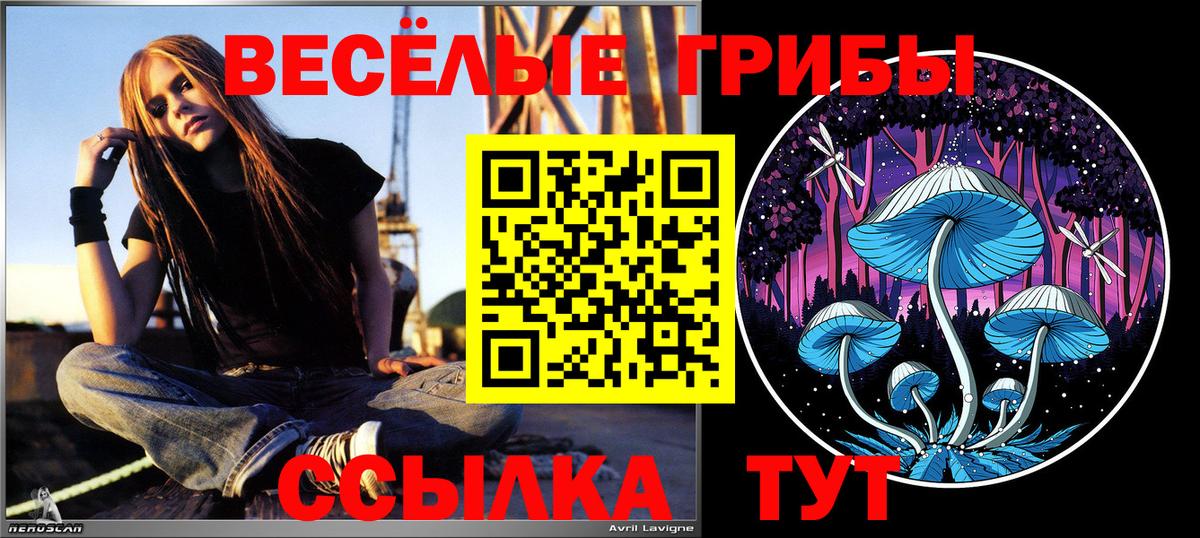 Галлюциногенные грибы ЛСД  Вход с VPN  Богородицк 