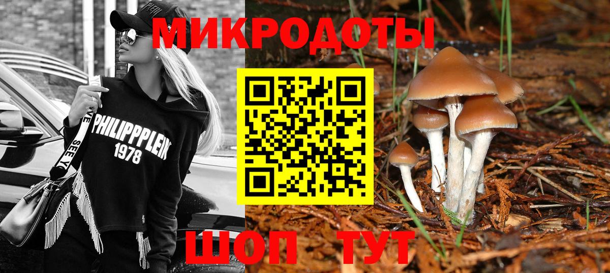 Галлюциногенные грибы Psilocybe Богородицк